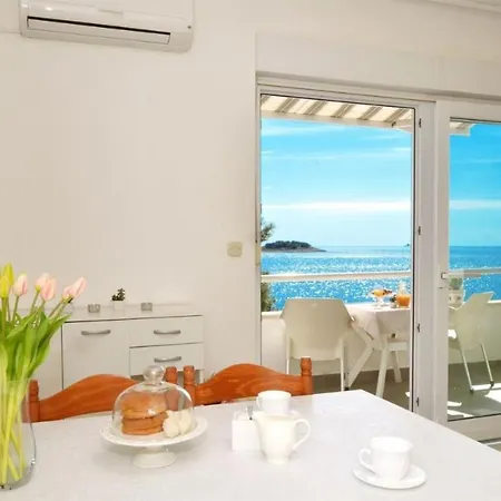 Nina 罗戈兹尼察