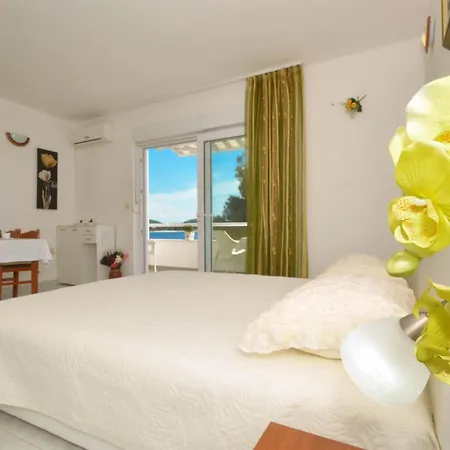 Nina * 罗戈兹尼察