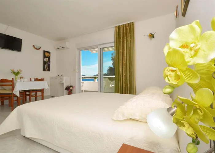 Nina * רוגוזניצה